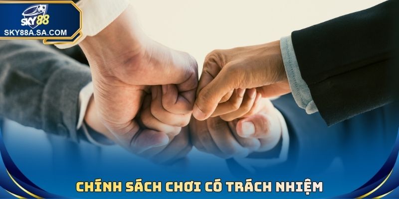 Chính sách chơi có trách nhiệm