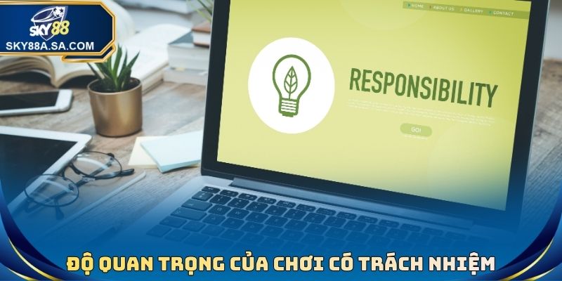 Độ quan trọng của chơi có trách nhiệm