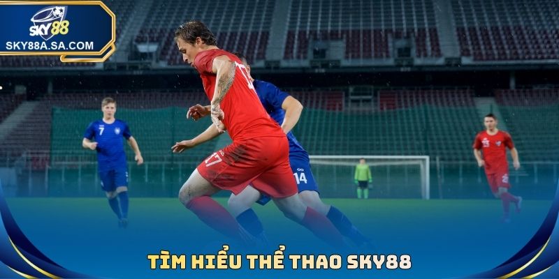 Tìm hiểu Thể Thao sky88