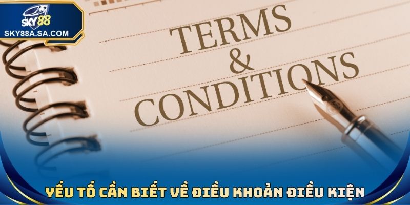 Yếu tố cần biết về điều khoản điều kiện